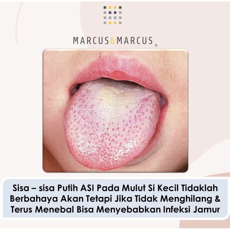 Marcus &amp; marcus finger toothbrush and gum massager set - sikat lidah dan gusi anak