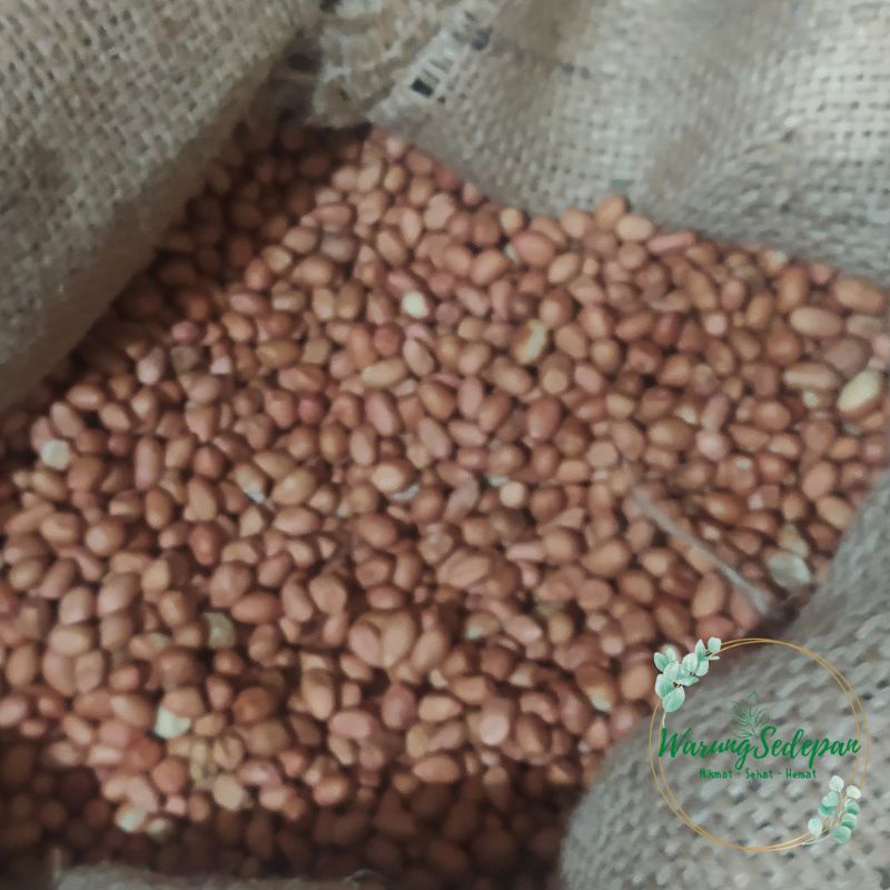 

Kacang Tanah Kupas 250 gr Kacang Kupas Kulit Luar