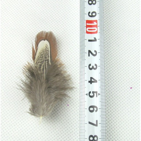10pcs Bulu Burung Pheasant Alami Multi Warna 5-10cm Untuk Membuat Perhiasan DIY