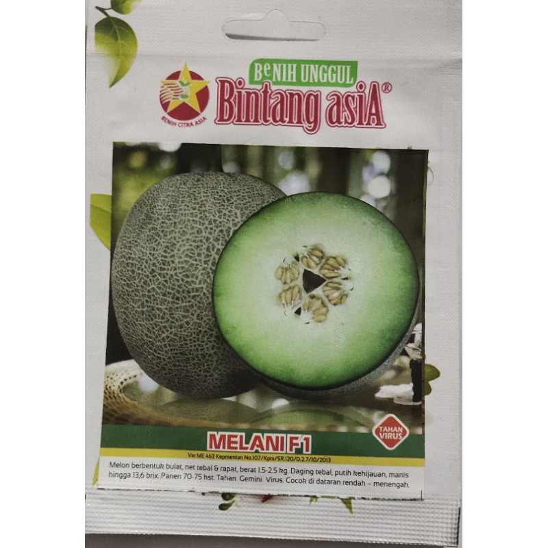 Benih Melon melani F1 Bintang asia