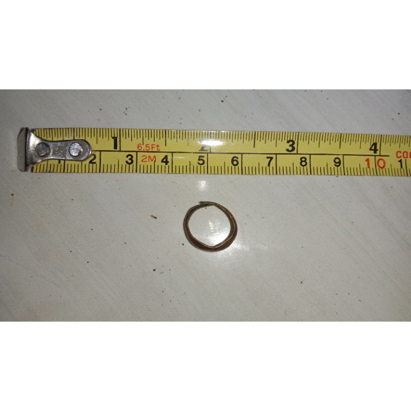 1 biji cincin untuk burung temuan sungai