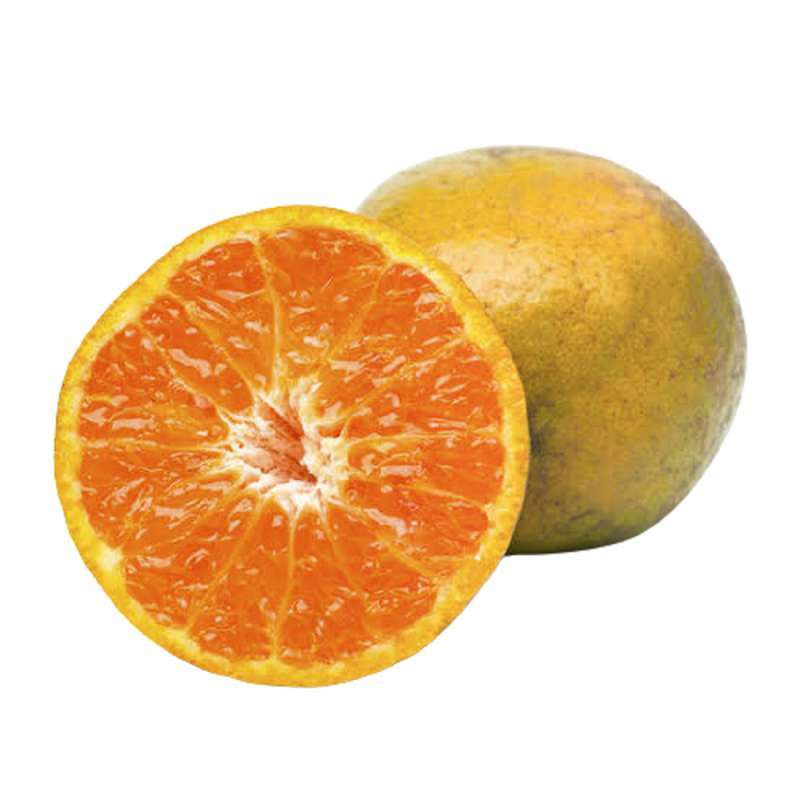 

JERUK BRASTAGI / JERUK MEDAN / JERUK MANIS MURAH 500GR - 1KG SHENAR