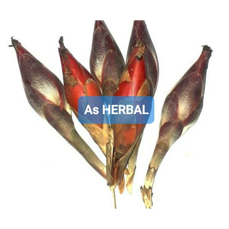 

Buah galoba buah goloba atau buah pining bawang segar 1 kg-az
