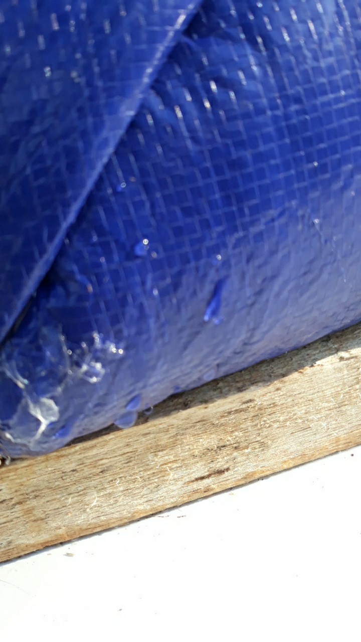 Terpal Kolam Ikan Ukuran 100x50x50 Type A3 Korea Original100%