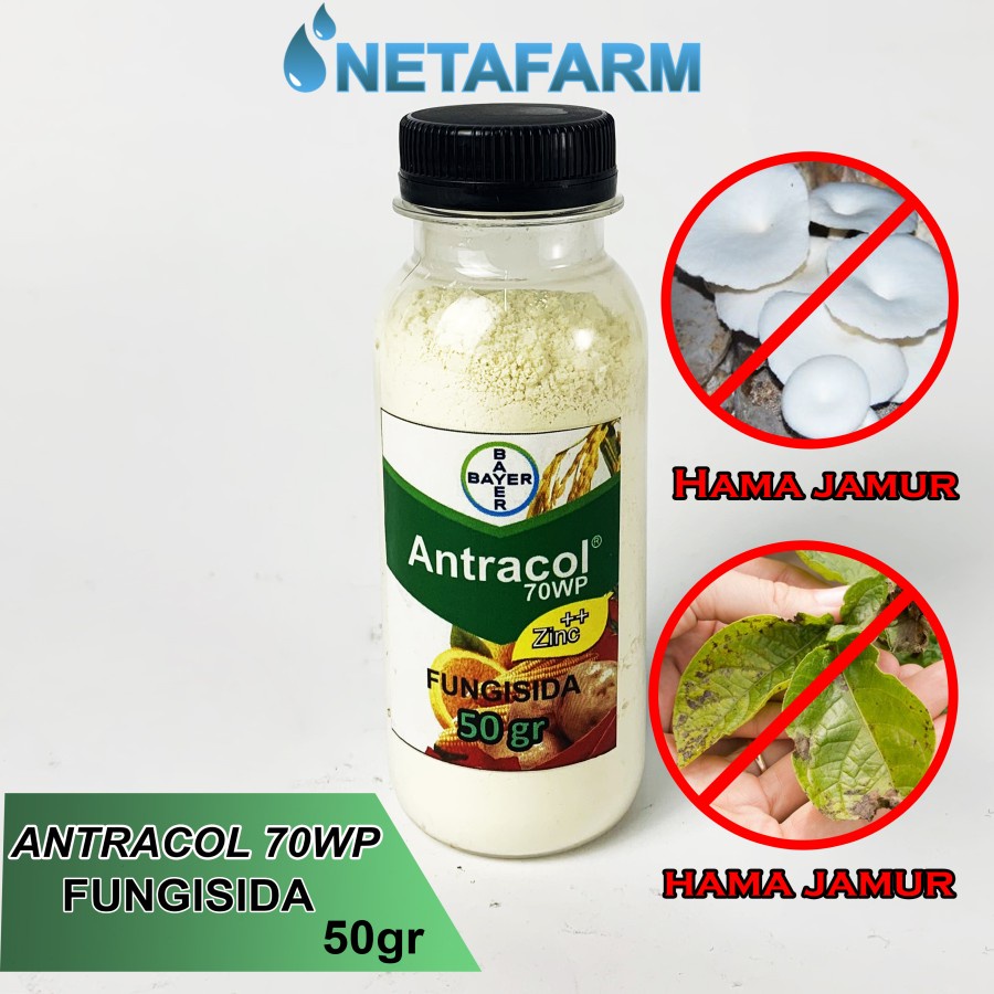 Fungisida ANTRACOL 70 WP - Kemasan 50gr