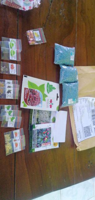 Isi 10 Biji - Benih Cabai Purple Rainbow Pepper - Haira Seed