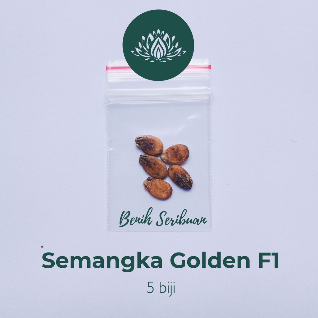 5 Benih Bibit Semangka Golden Kuning F1 Hibrida Inden Tanaman Buah Semangka Inul Premium Unggul