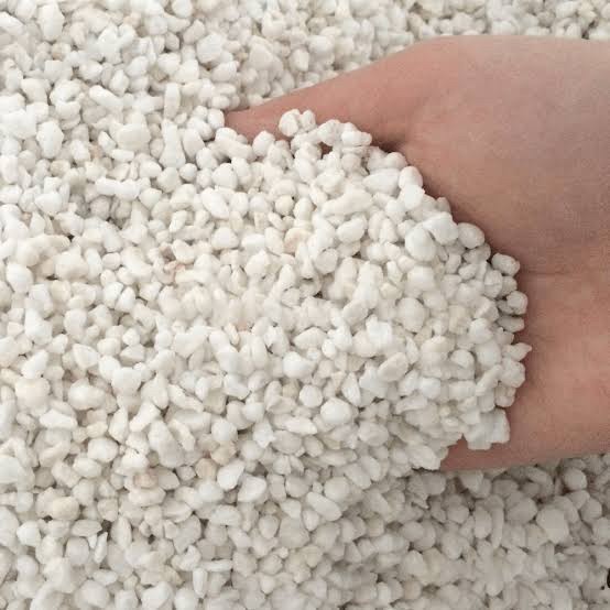 MEDIA TANAM PERLITE 100GR