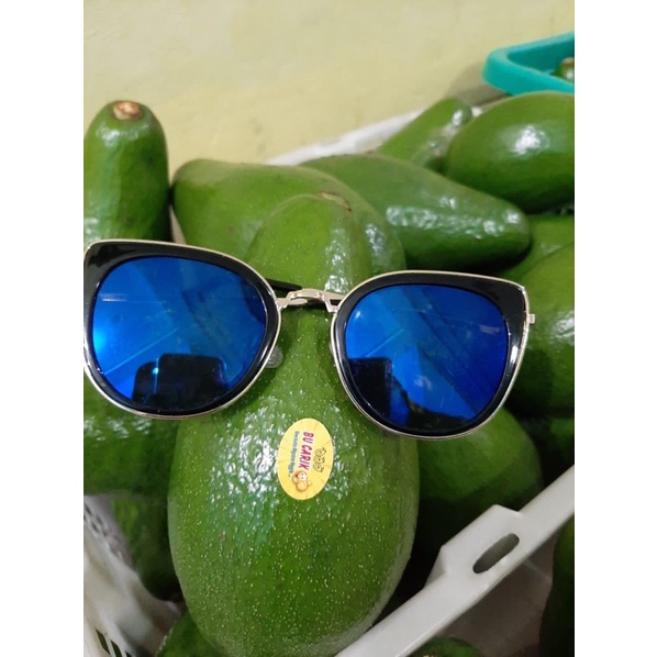 

ALPUKAT SUPER BUCARIK