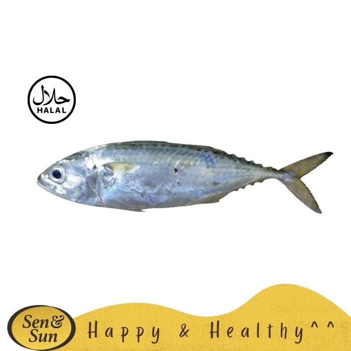 

Sen&Sun Ikan Kembung Banjar Puffer Fish 500 Gram