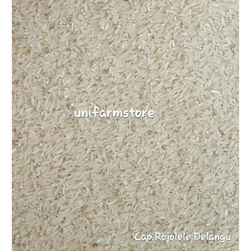 

New - Beras Rojolele Delanggu 20KG ,,