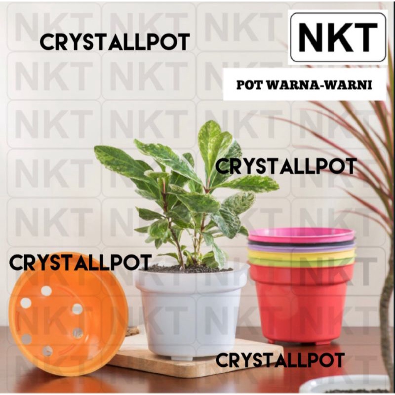 pot bunga tanaman nkt polos mini 8 warna warni - NKT POLOS MINI