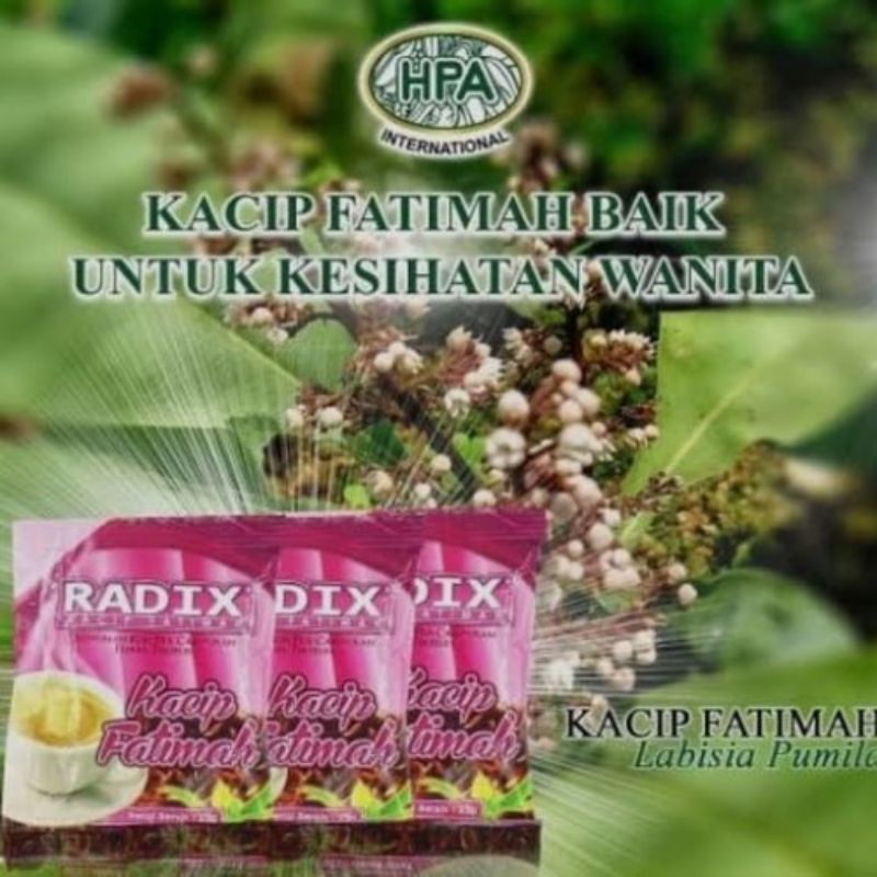 

Radix Kacip Fatimah - Baik untuk kesehatan wanita