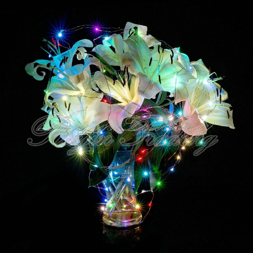 Hot Sale/1M 2M 3M 5M Kawat Tembaga LED String Lamp Fairy lights Untuk Natal Tahun Baru Xmas Pernikahan Dekorasi