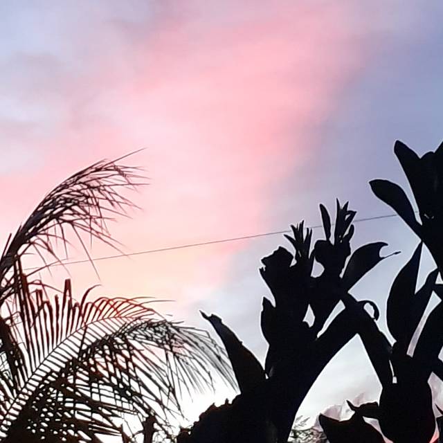 niputucahyanicandraputri