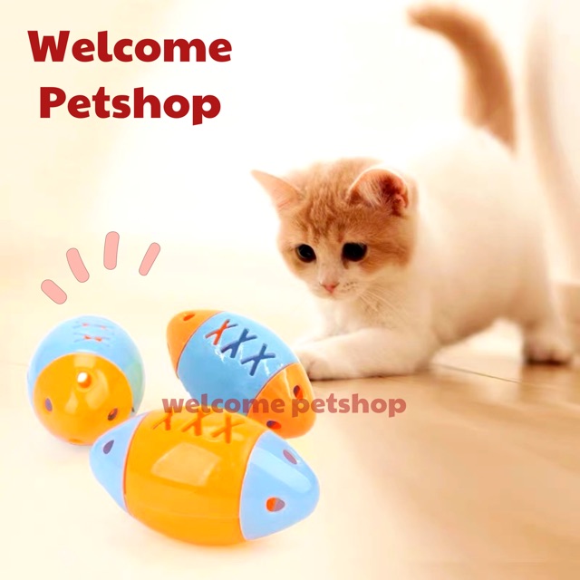 Mainan Kucing Rugby Mini / Mainan Kucing / Cat Toy