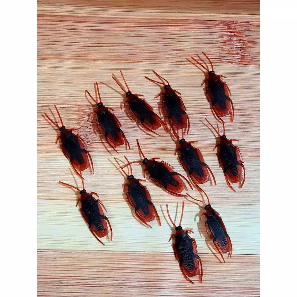 Kecoa Palsu Kecoak Mainan Mirip Asli untuk prank cockroach Toys gag