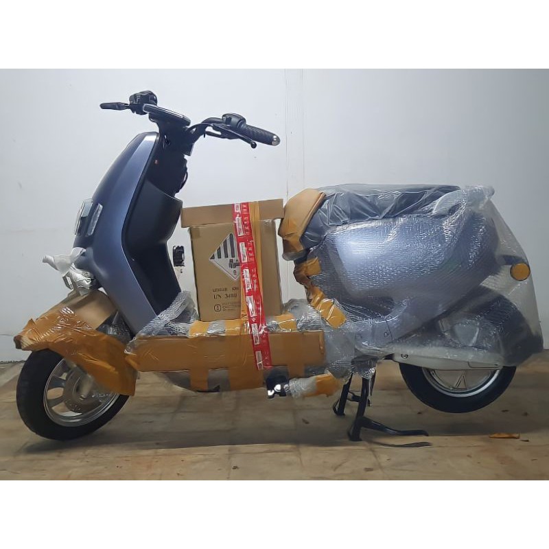 MOTOR LISTRIK ECGO 2