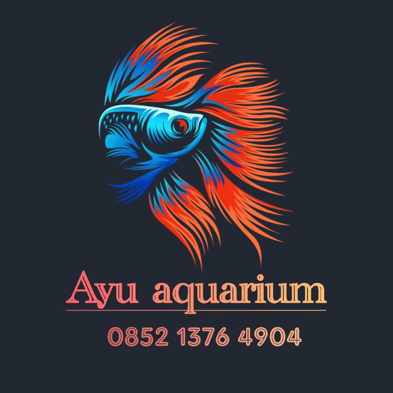 Aquarium custom aquarium+rak holo+ongkir