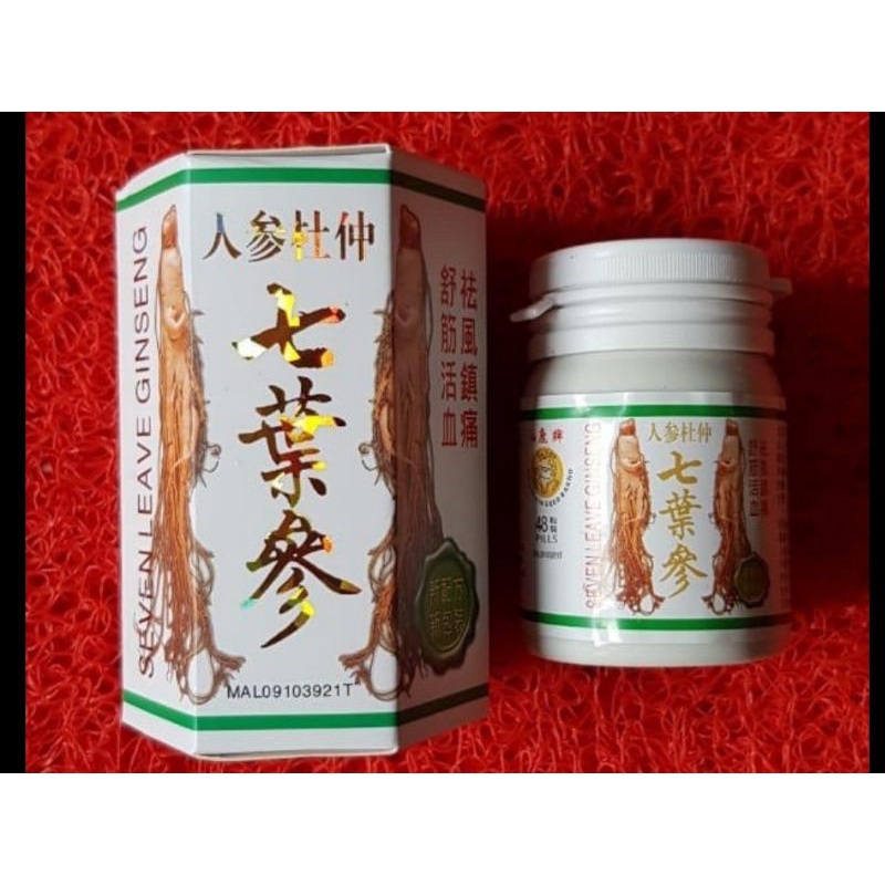 GINSENG SEVEN LEAVE BOTOL KERAMIK ISI 48 PILS