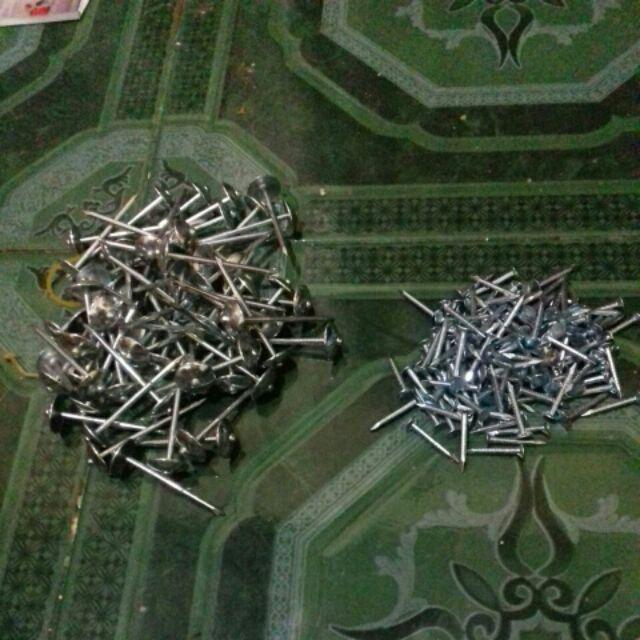 Paku Payung 5 Cm ( 250 Gram )