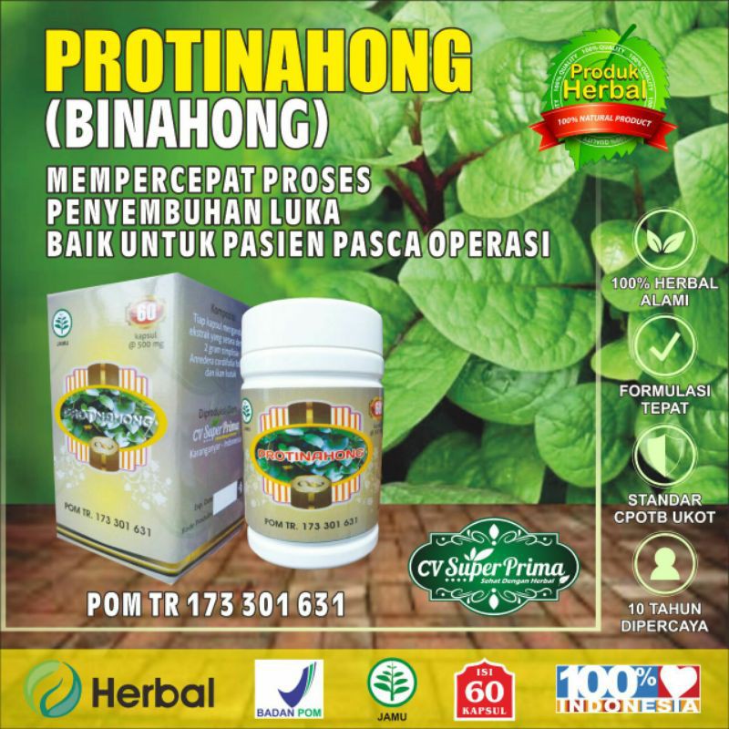 

KAPSUL EKSTRAK BINAHONG
