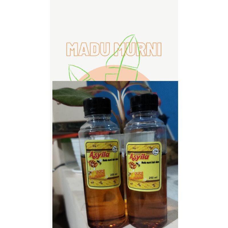 

Madu Alami /Madu Asli/Madu Lebah Liar
