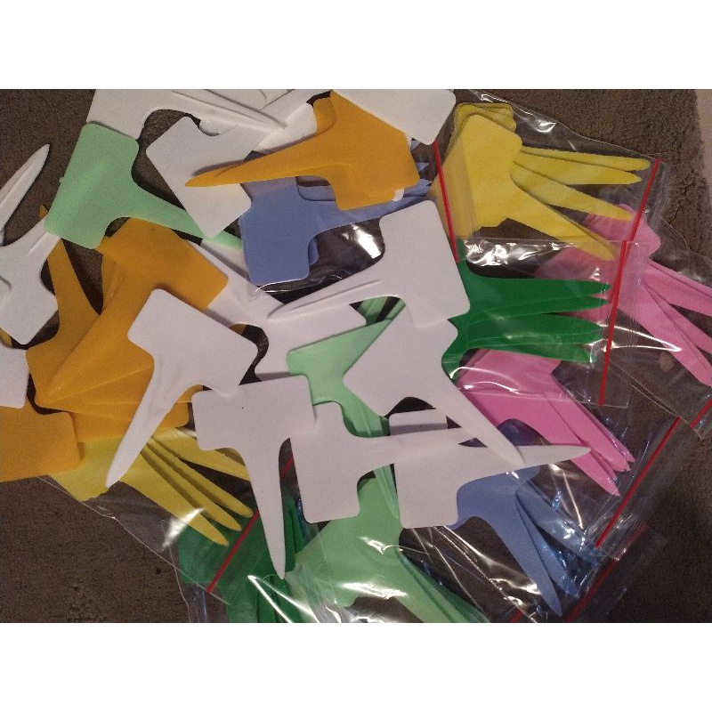 

plant name tag. papan nama tanaman