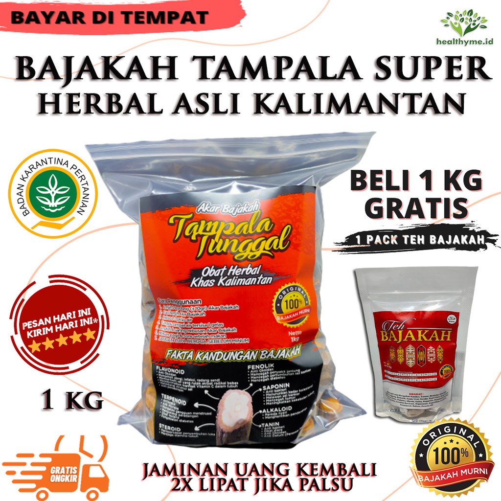 Bajakah Tampala Super / Kayu Akar Bajakah Tunggal Asli Kalimantan Sertifikat - 1 KG