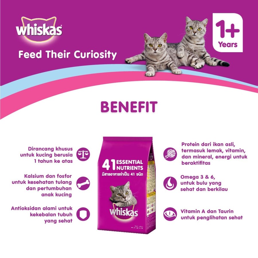 Whiskas Chicken 1.2 kg Makanan Kucing Kering Adult Dry Cat Food 1.2kg