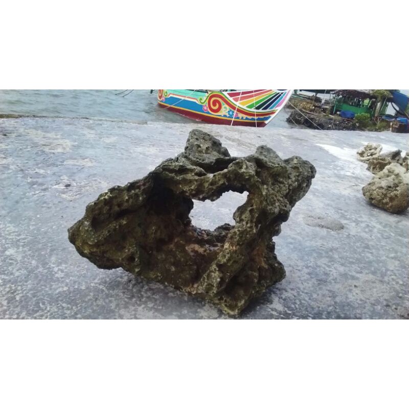 Batu karang GOA 2kg ukuran besar untuk dekorasi aquarium