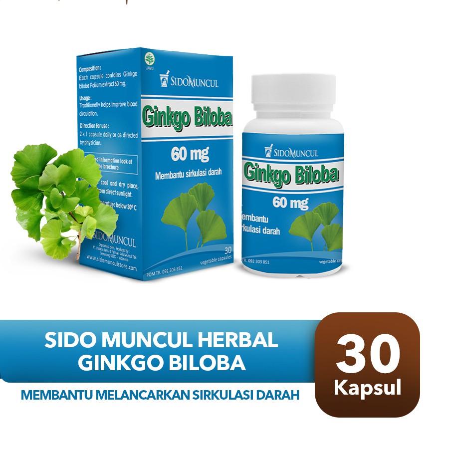 

[PRODUK CT7BP] Sido Muncul Herbal Ginkgo Biloba 30 Kapsul - Daya Ingat Konsentrasi 70N