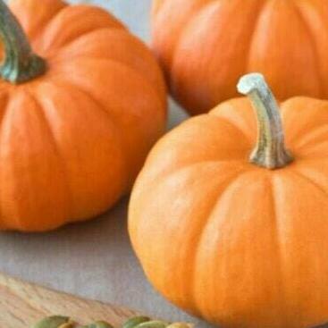 

[COD] Whole Pumpkin - Buah Labu Utuh untuk Halloween Decoration atau Masak [COD]