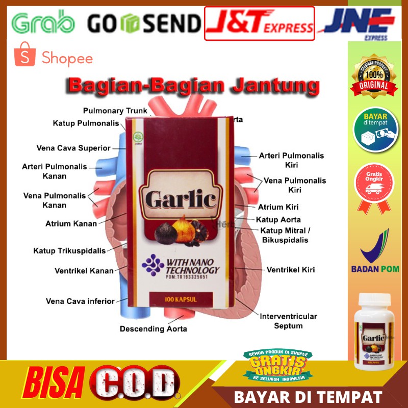 

Black Garlic Obat Jantung Herbal, Jantung Koroner, Jantung Bocor, Obat Jantung Bengkak Sesak Nafas