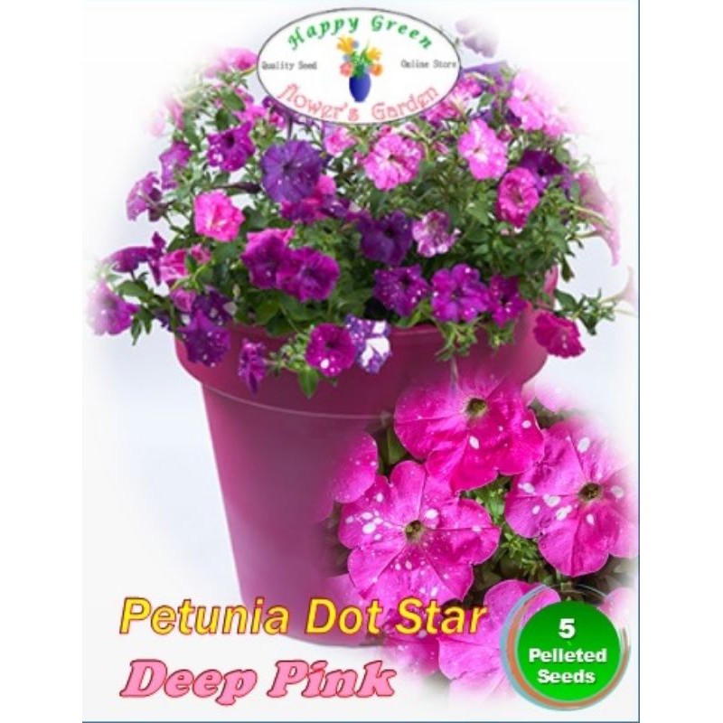 Benih Biji Bunga Petunia F1 DotStar Deep Pink