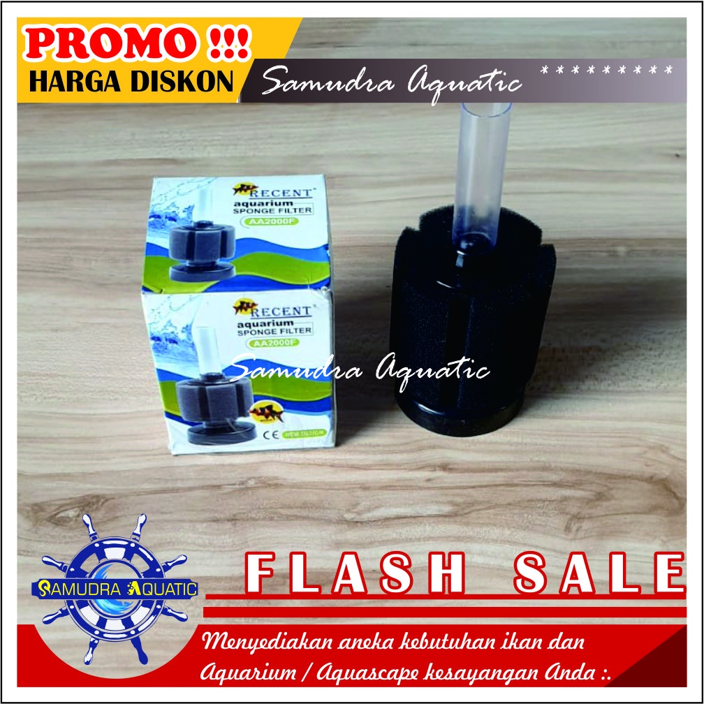 Filter Spon Sponge Biofoam Aquarium Aquascape, Filter Mini Bio Filter Biofom Busa Filter Aquarium Aquascape (GRATIS BUBLEWRAP)