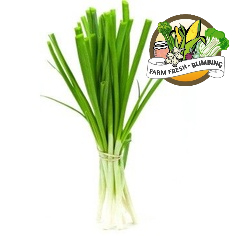 

daun bawang besar 500g