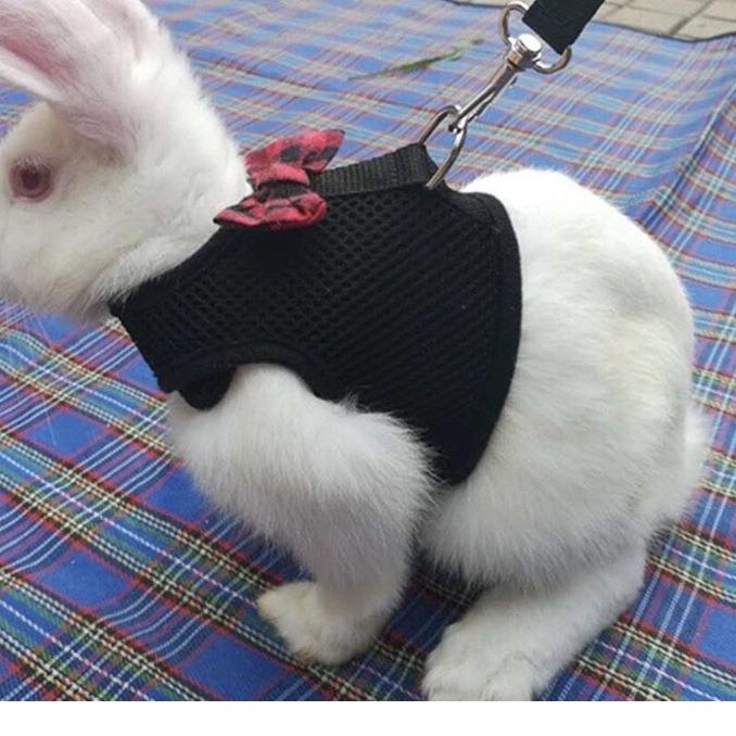 HARNESS KELINCI ROMPI KELINCI TALI KELINCI HARNES KELINCI HARNESS MARMUT HARNESS KUCING BAJU KUCING