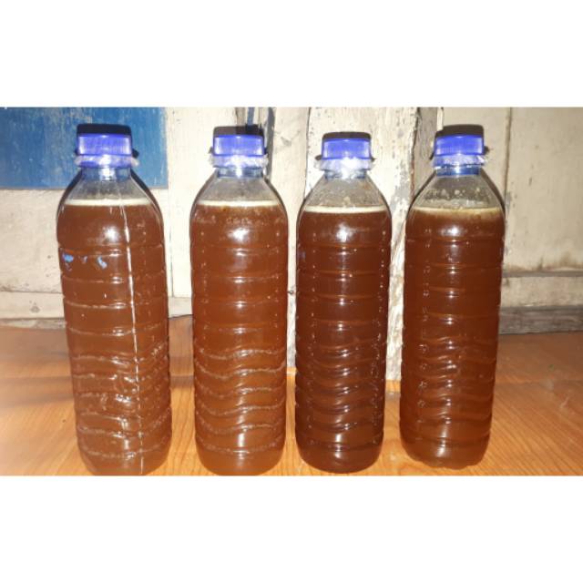 

Madu asli sumbawa