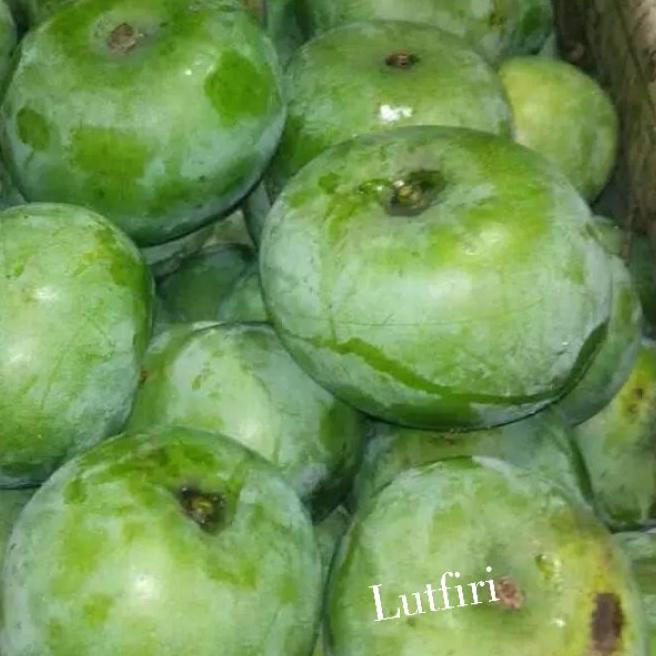

Grand Seller|SQ15|Mangga apel Mentah 1 kilogram ( rasa masam / asam ) Pas Buat di rujak dan di makan segar mangga muda mantap asam asem