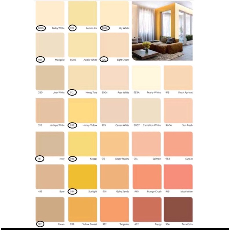 Cat Tembok Nippon Paint VINILEX 5 KG | Interior dan Exterior Khusus SAMEDAY/INSTANT