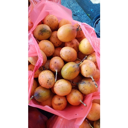 

markisa mateng pohon