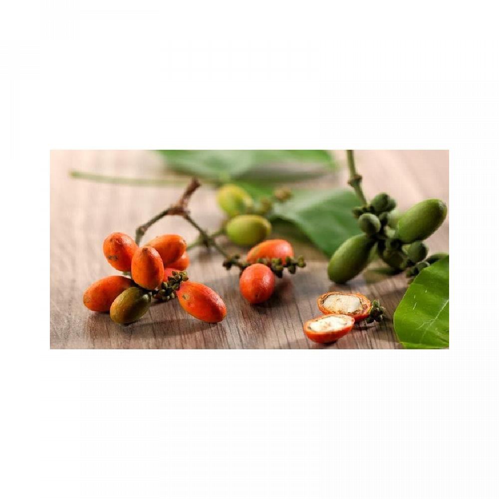

Biji Melinjo 100 Gram