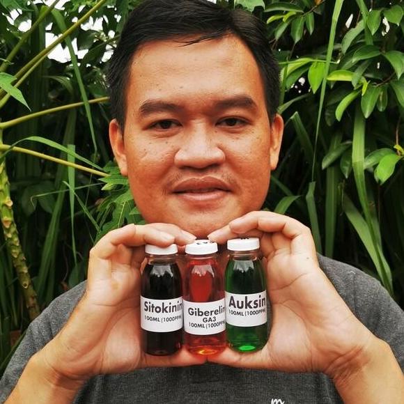 Paket Hormon Tanaman Auksin Giberelin Sitokinin 300ml