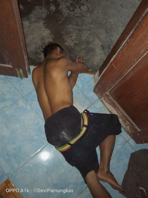 Anti Lalat Racun Umpan Pembunuh Langsung Tepar Mati Habis Makan Obat Laler