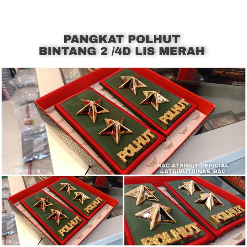 PANGKAT POLHUT BINTANG 2 - PANGKAT POLHUT GOLONGAN 4D LIS MERAH