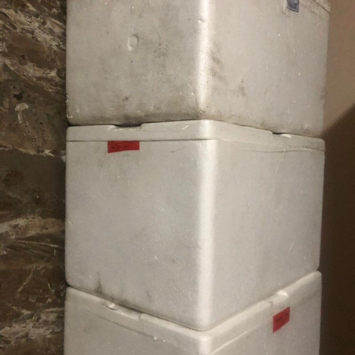 Styrofoam Box Bekas Kotak Sterofoam Tebal Besar Layak Pakai