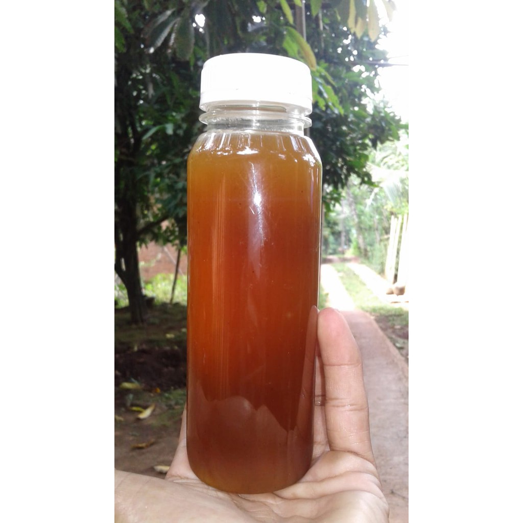 madu klanceng asli murni 100% jenis levicep