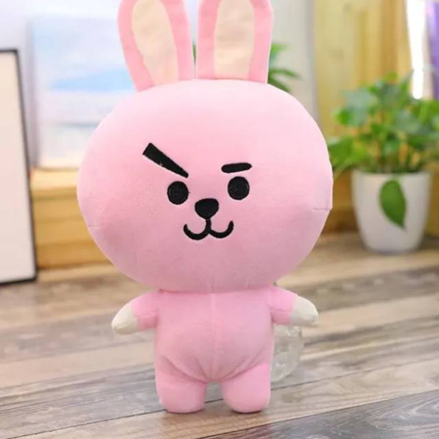 Boneka BT21 (COOKY)