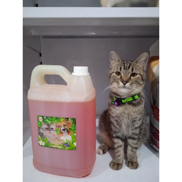 sampo groming hpj fruite orange 5liter / sampo groming cat &amp; dog